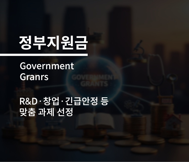 정부지원금